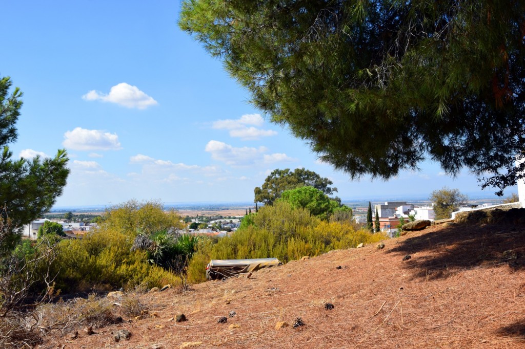 Foto de Carmona (Sevilla), España
