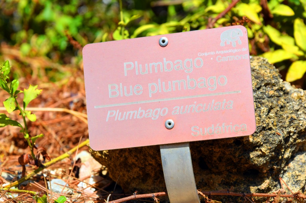 Foto de Carmona (Sevilla), España