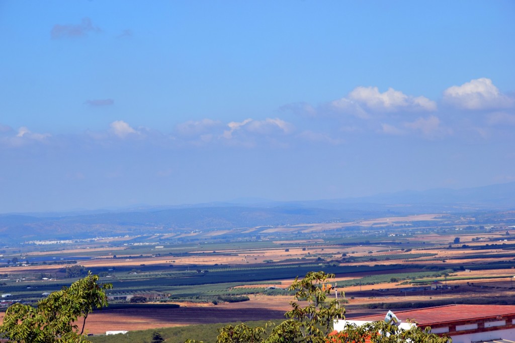 Foto de Carmona (Sevilla), España