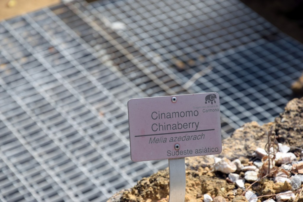 Foto de Carmona (Sevilla), España