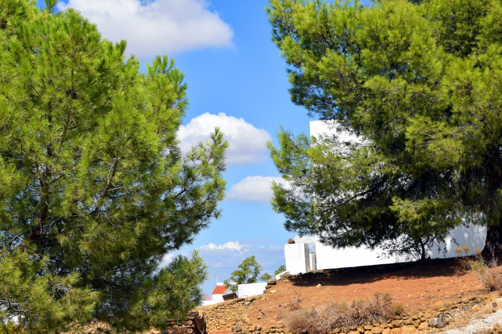 Foto de Carmona (Sevilla), España