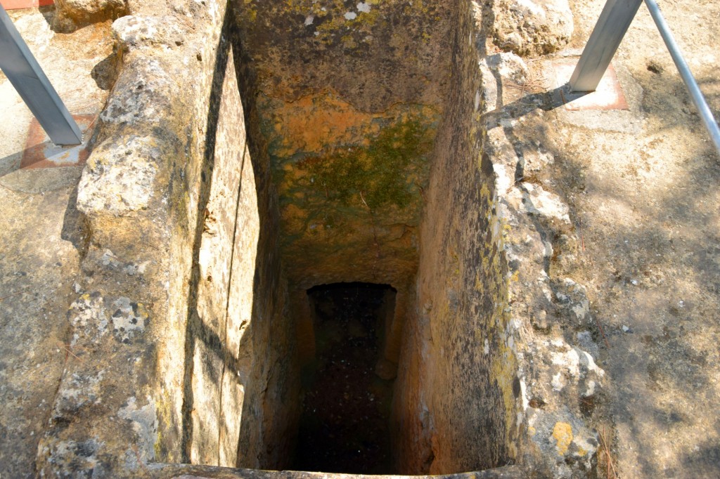 Foto de Carmona (Sevilla), España