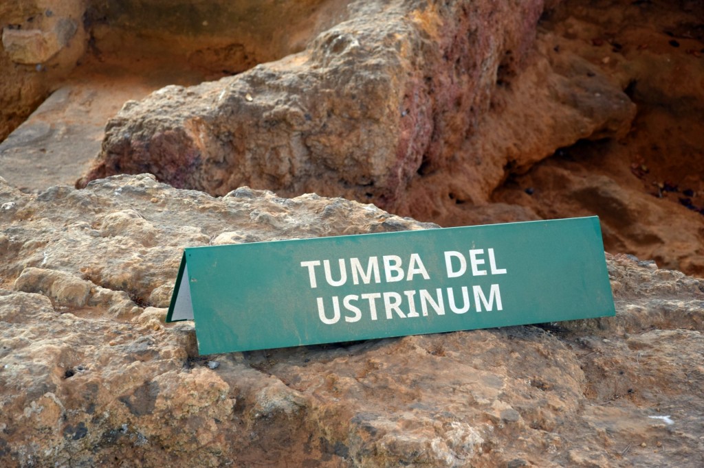 Foto de Carmona (Sevilla), España