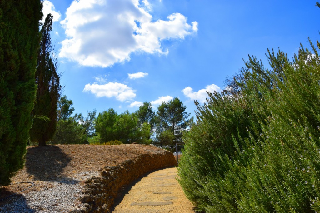 Foto de Carmona (Sevilla), España