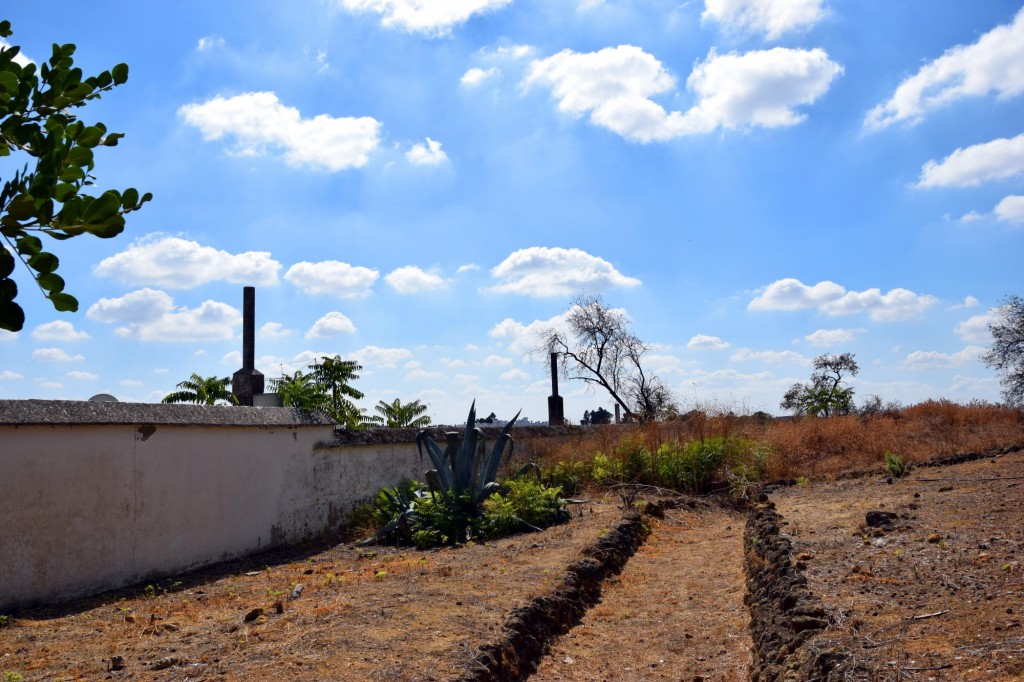 Foto de Carmona (Sevilla), España