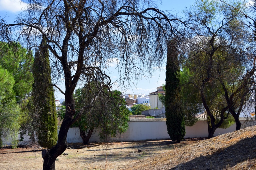 Foto de Carmona (Sevilla), España