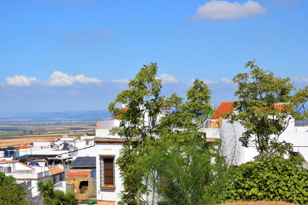 Foto de Carmona (Sevilla), España
