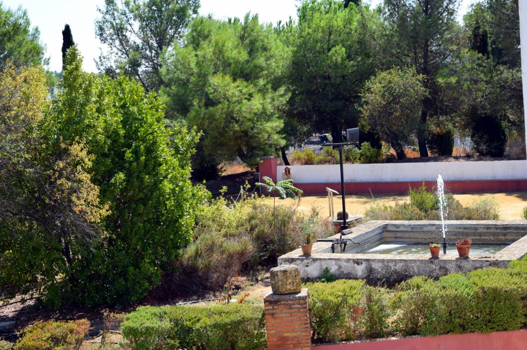 Foto de Carmona (Sevilla), España