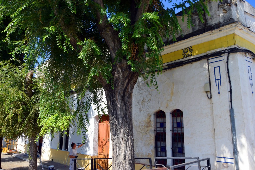 Foto: Nuestra Señora de Gracia - Carmona (Sevilla), España
