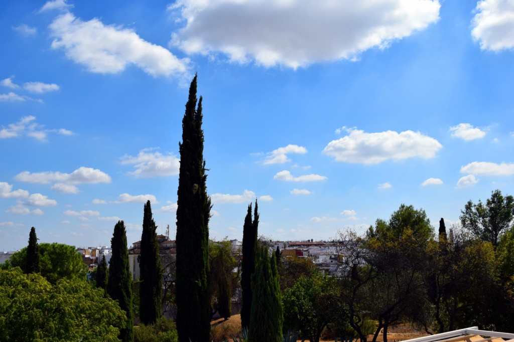 Foto de Carmona (Sevilla), España