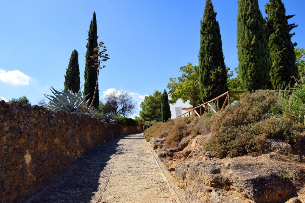Foto de Carmona (Sevilla), España