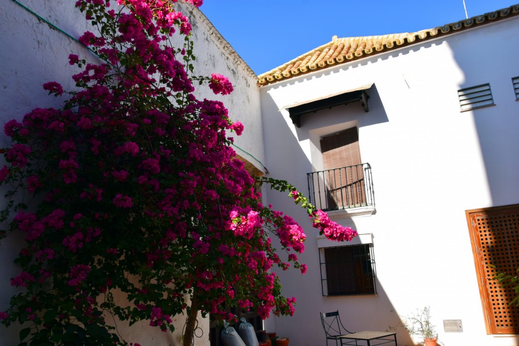 Foto de Carmona (Sevilla), España