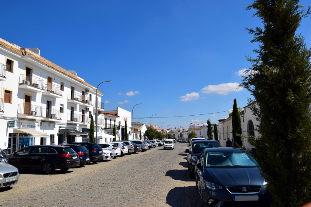 Foto: Avenida Jorge de Bonsor - Carmona (Sevilla), España