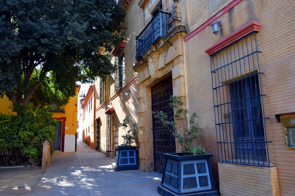 Foto: Palacio de Carmona 1561 - Carmona (Sevilla), España