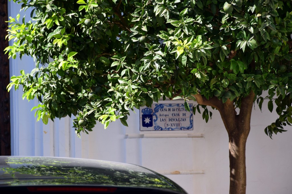 Foto de Carmona (Sevilla), España