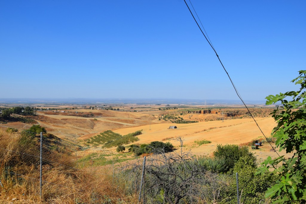 Foto de Carmona (Sevilla), España