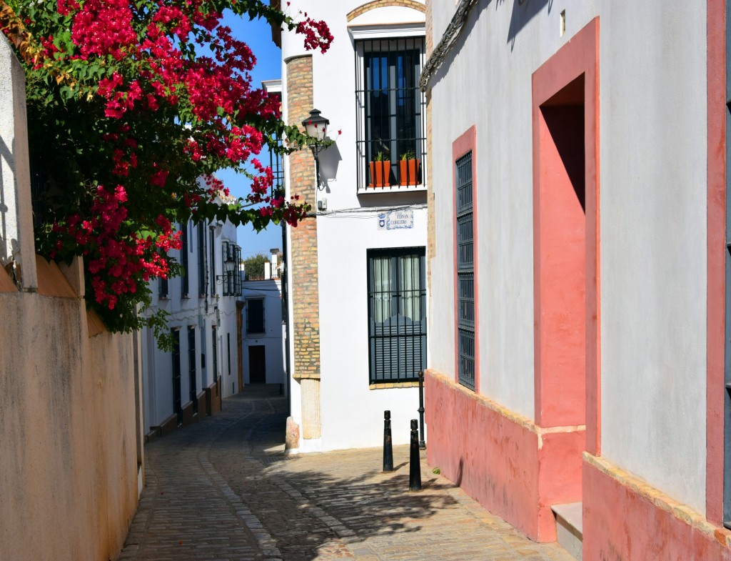 Foto: Calle Don Juán Carrera - Carmona (Sevilla), España