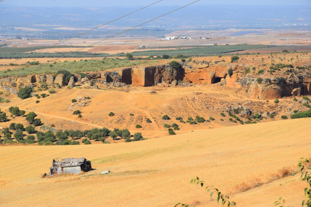 Foto de Carmona (Sevilla), España