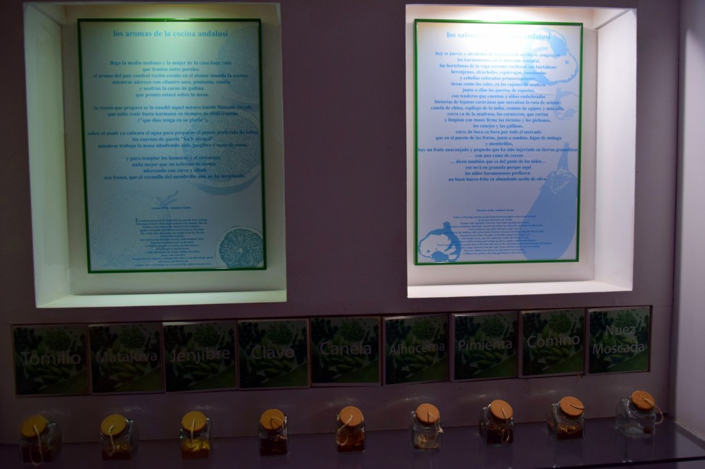 Foto: Especies - Carmona (Sevilla), España