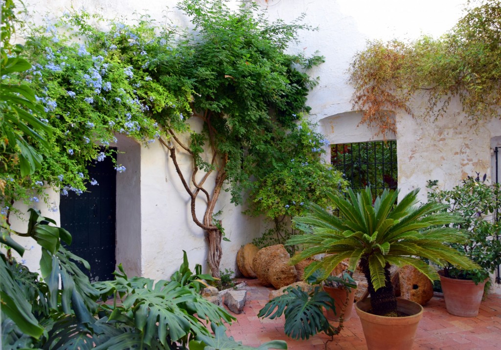 Foto: Patio del Museo - Carmona (Sevilla), España