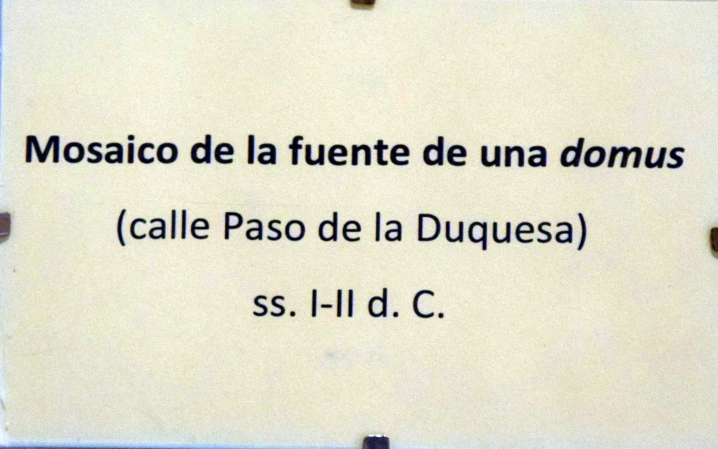 Foto: Mosaico de la fuente de una Domus S.I-II d.C - Carmona (Sevilla), España