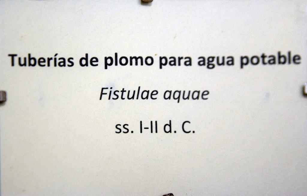 Foto de Carmona (Sevilla), España