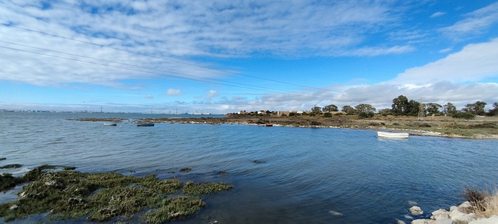Foto: Parque natural de la Bahía de Cádiz - San Fernando (Cádiz), España