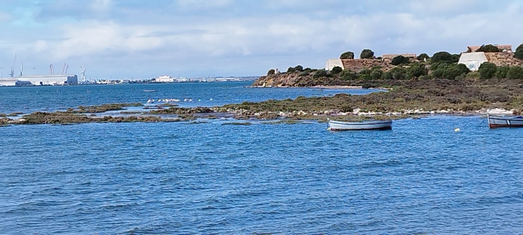 Foto: Comedero de flamencos - San Fernando (Cádiz), España