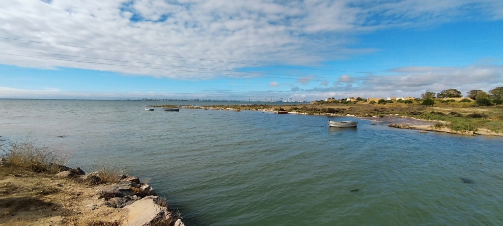 Foto: Marísma mareal - San Fernando (Cádiz), España