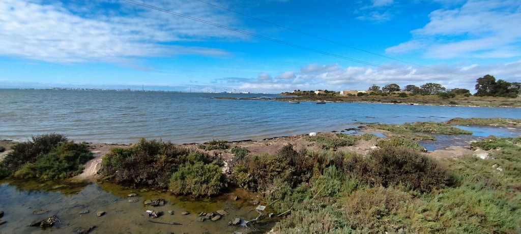 Foto: Jardín de la Bahía - San Fernando (Cádiz), España