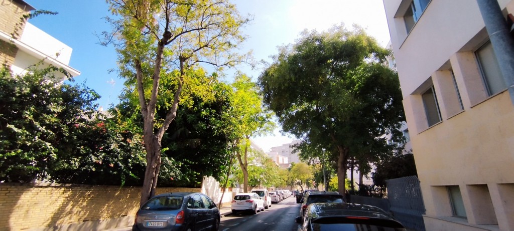 Foto: Calle Acacias - Cádiz (Andalucía), España
