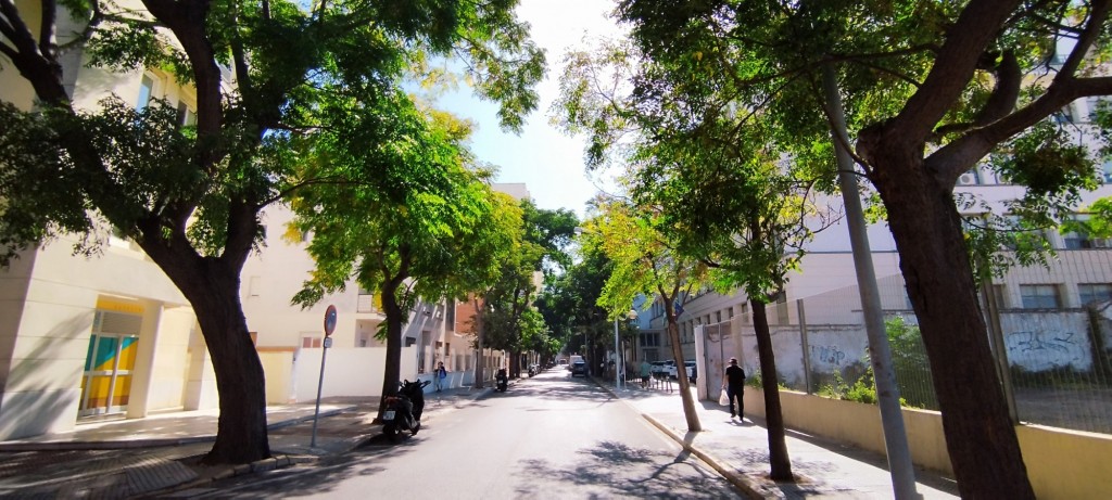 Foto: Avenida Acacias - Cádiz (Andalucía), España