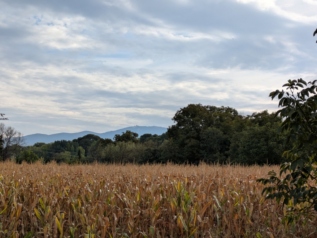 Foto: Camino de las Cruces - Calatayud (Zaragoza), España