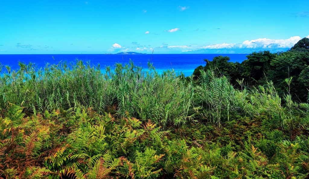 Foto: Cape Drastis - Corfú (Ionian Islands), Grecia