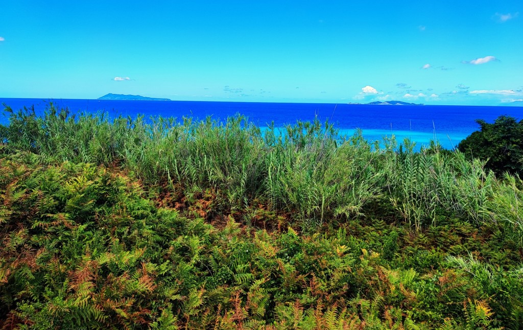 Foto: Cape Drastis - Corfú (Ionian Islands), Grecia