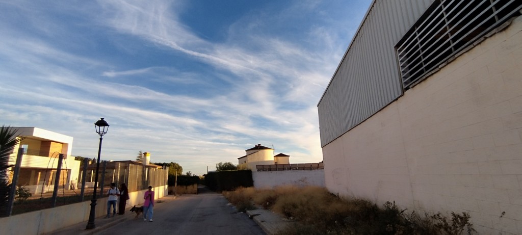 Foto: Camino de Umbrete - Villanueva del Ariscal (Sevilla), España