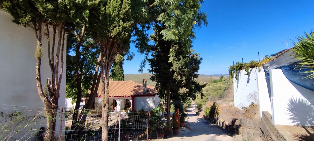 Foto de Alcalá de los Gazules (Cádiz), España