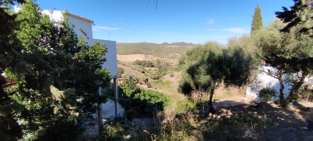 Foto de Alcalá de los Gazules (Cádiz), España