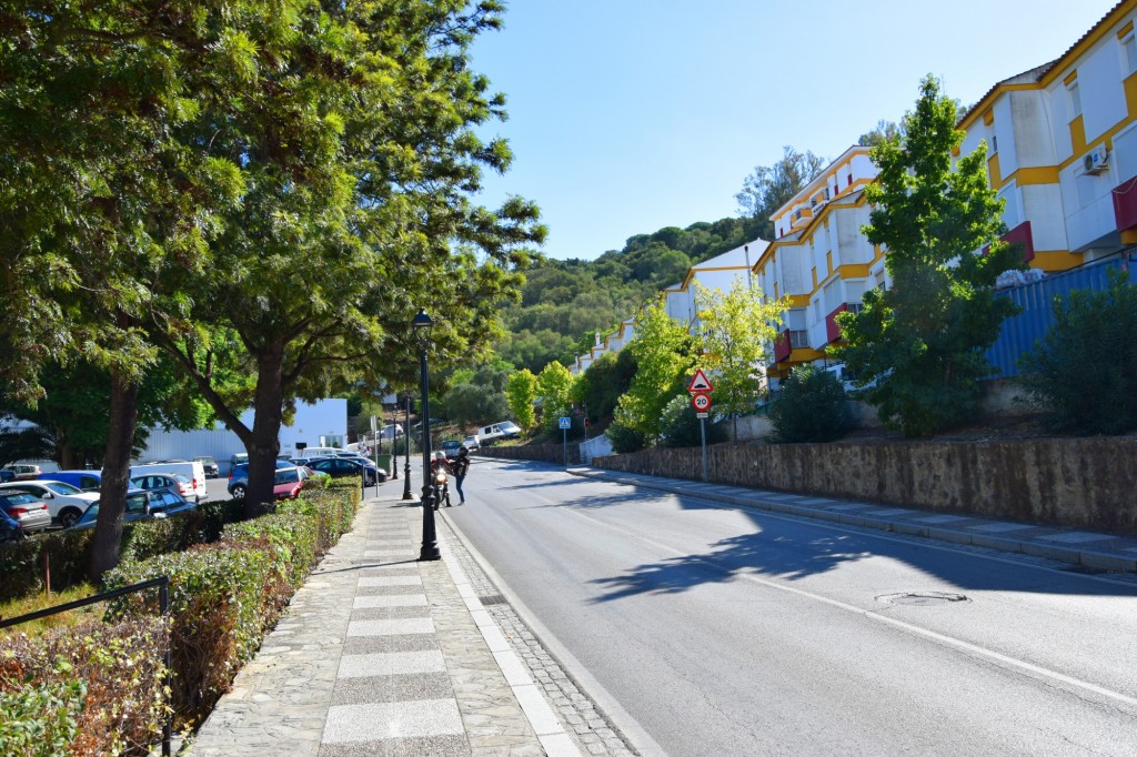 Foto de Alcalá de los Gazules (Cádiz), España