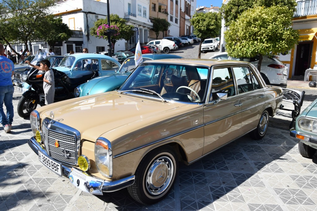 Foto: Concentración de vehíclos clásicos 19-10-2025 - Alcalá de los Gazules (Cádiz), España