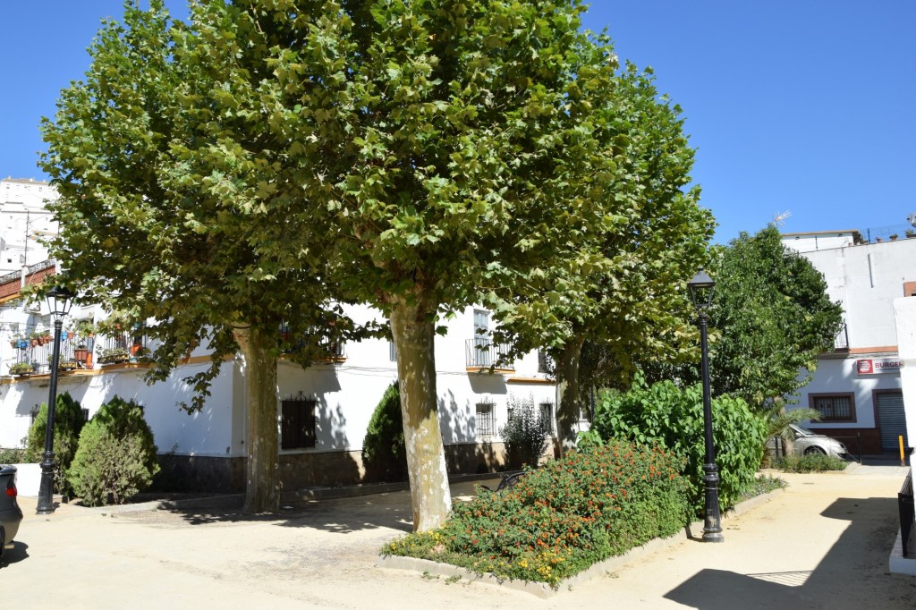 Foto: Concentración de vehíclos clásicos 19-10-2025 - Alcalá de los Gazules (Cádiz), España