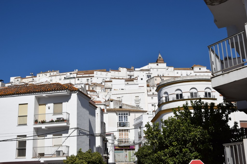 Foto de Alcalá de los Gazules (Cádiz), España