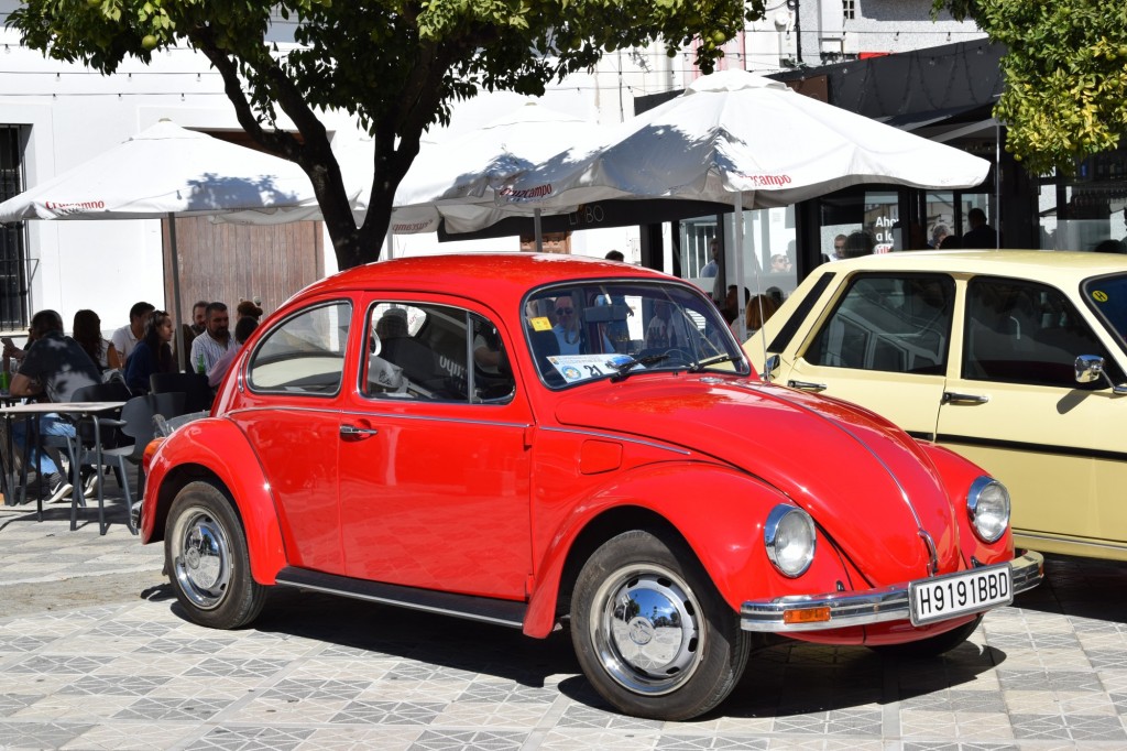 Foto: Concentración de vehíclos clásicos 19-10-2025 - Alcalá de los Gazules (Cádiz), España