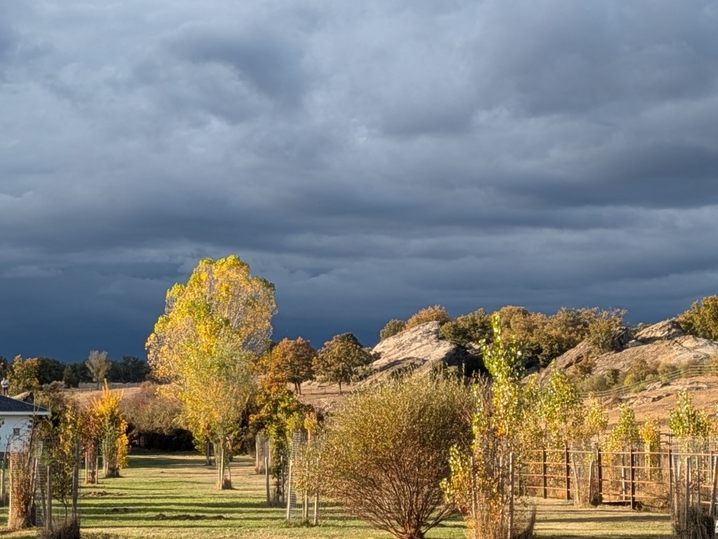 Foto: Valonsadero - Soria (Castilla y León), España