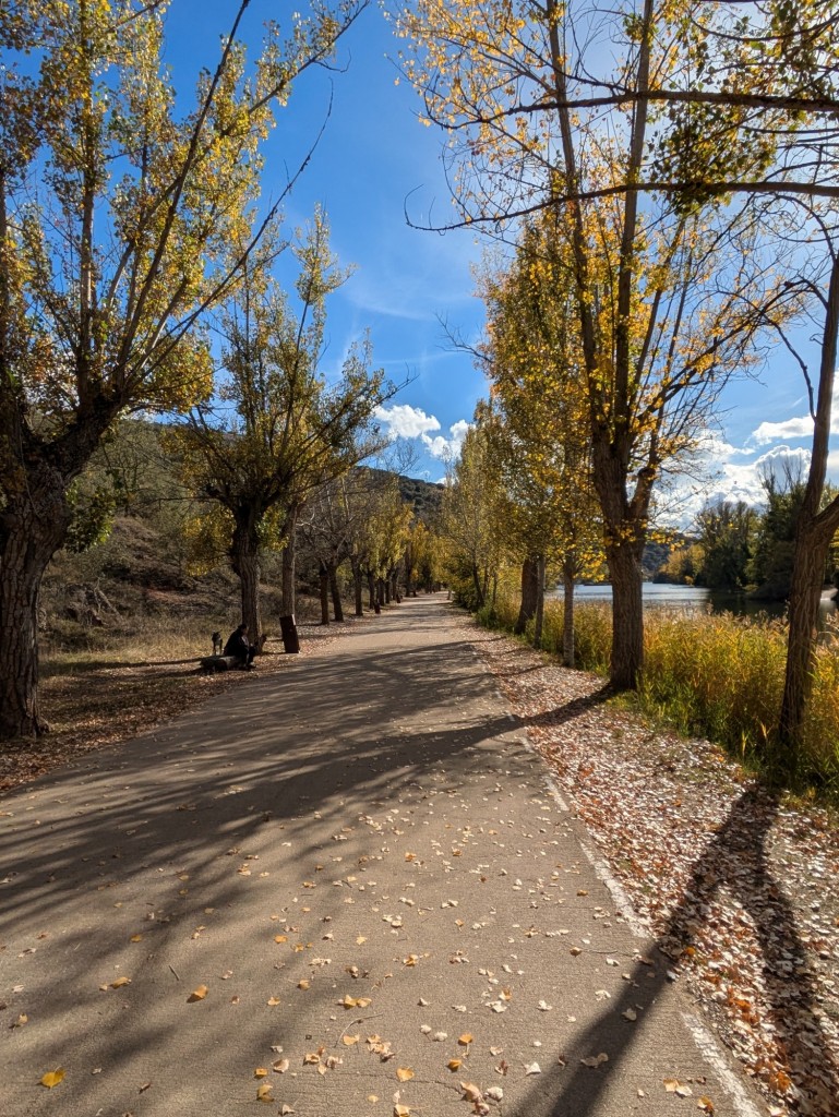 Foto: De San Polo a San Saturio - Soria (Castilla y León), España