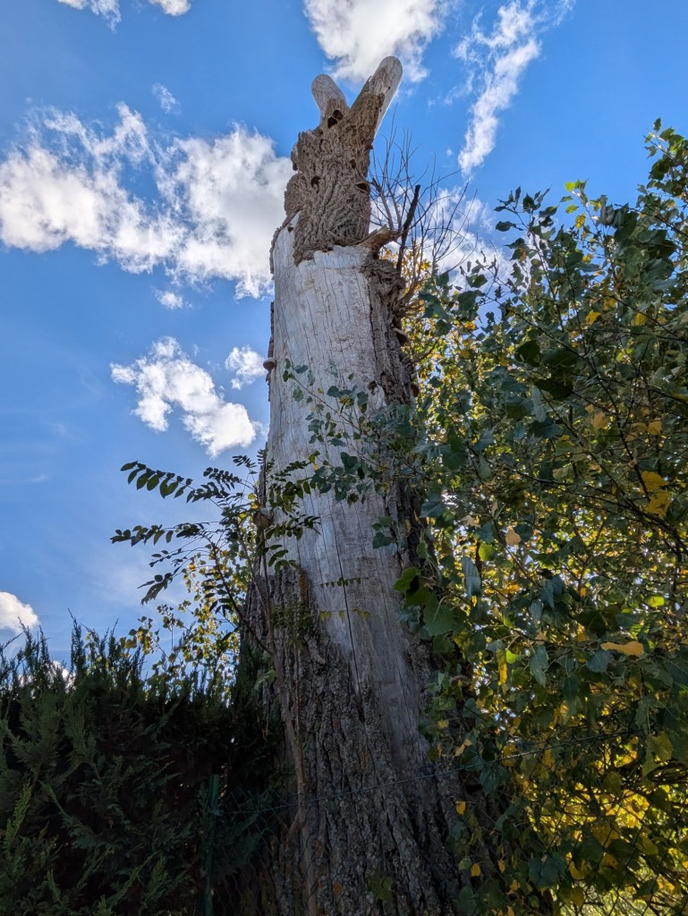 Foto: San Polo - Soria (Castilla y León), España