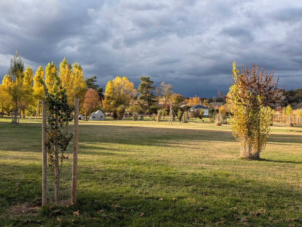 Foto: Valonsadero - Soria (Castilla y León), España