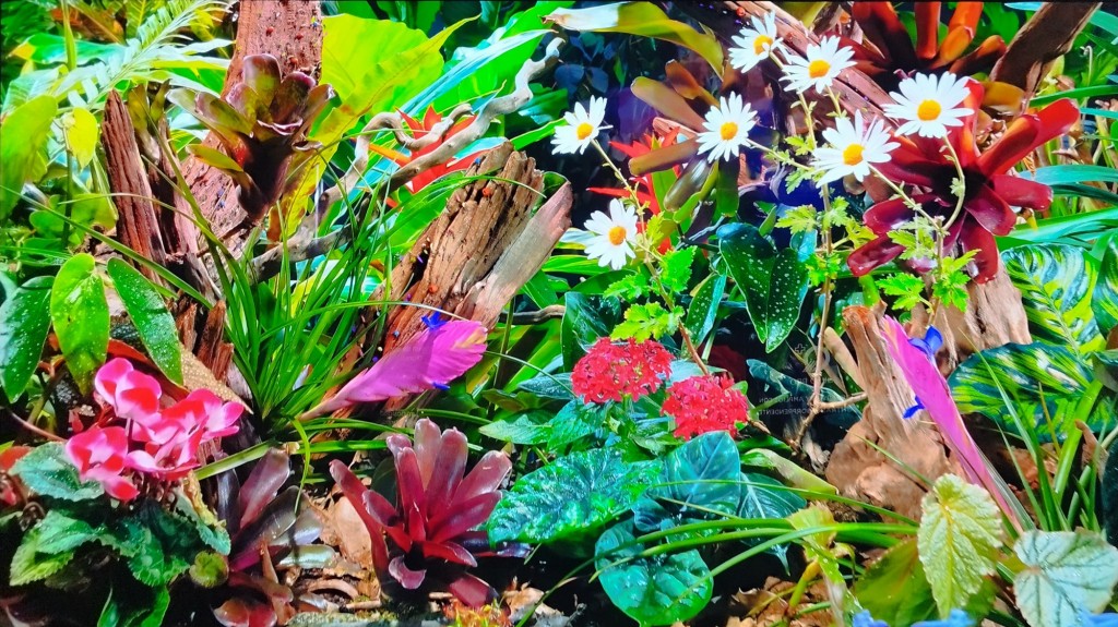 Foto: Naturaleza - Jerez de la Frontera (Cádiz), España