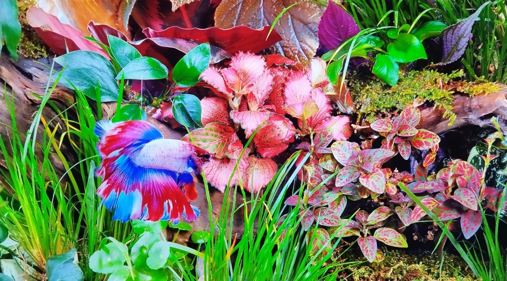 Foto: Naturaleza - Jerez de la Frontera (Cádiz), España