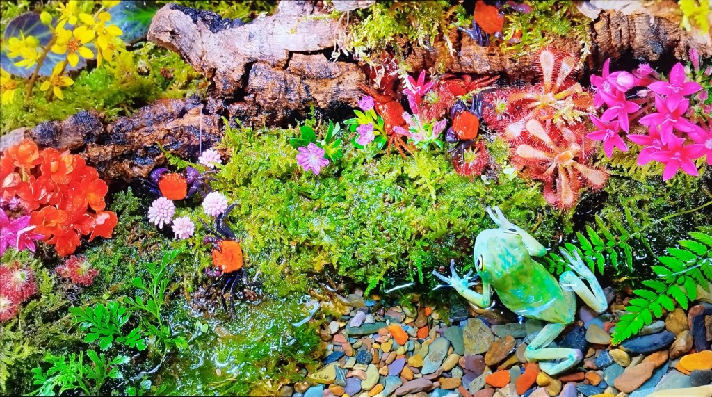 Foto: Naturaleza - Jerez de la Frontera (Cádiz), España